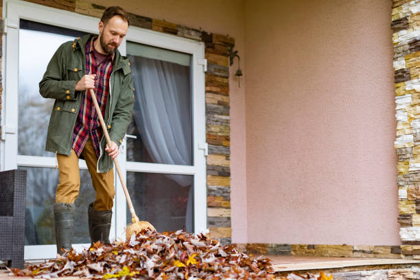 Best Estate Cleanout Services  in Ofallon, IL