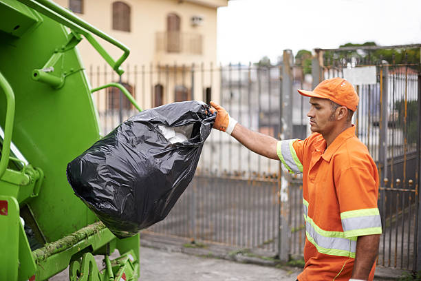 Yard Cleanup Services in Ofallon, IL